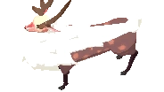 Male Cervus