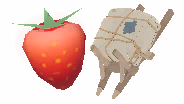 Basic Berry Package