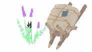 Fine Flower Package
