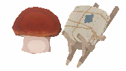 Infused Mushroom Package