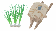 Fine Starbulb Package