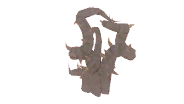 Exquisite Plant Roots