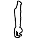 Emote Handstand