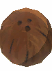 Tropical Coconut