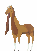 Domesticated Nubi Goat