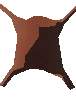 Simple Dried Pelt
