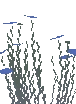 Basic Wispweave Plant