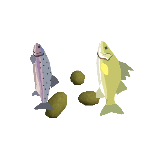 Fine Deluxe Fish and Bulbs