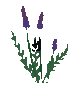 Basic Flower