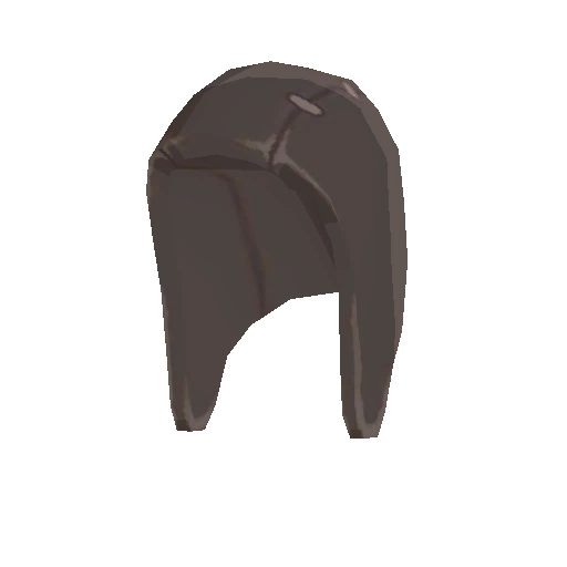 Fine Leather Cap
