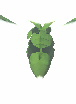 Miregrub
