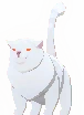 Pet Qitt (White)
