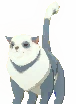 Deed: Pet Qitt (Gray and White)
