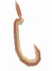 Pyrelite Fishing Hook