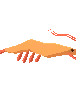 Driftwood Crayfish