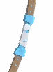 Elenvar Bow