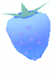 Traveler's Berries