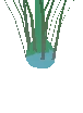 Basic Starbulb Plant