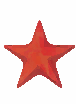 Vibrant Starfish