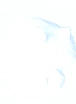 Winter Snow