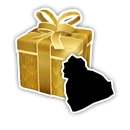 Beanie Present