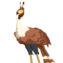 Dromai