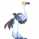 Desert Terrorbird