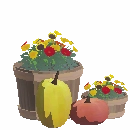 Fall Flowers and Pumpkins