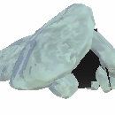 Unknown Item