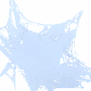 Araknir Corner Web