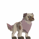 Alpha Jakyl Puppy