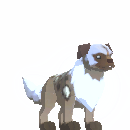 Deed: King Jakyl Puppy