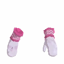 Whimsical Winter Mittens