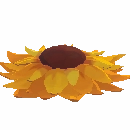 Sunflower Hat