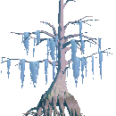Fertile Mature Cypress Tree