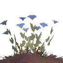 Tier 8 Flower