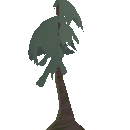 Fertile Mature Pine Tree