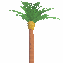 Tropical Tree