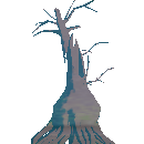 Fully Grown Willow Tree